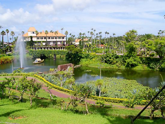 中部めぐりバスツアー 東南植物楽園＋勝連城跡＋海中道路 有名スポットでめぐりで旅を満喫＜1日／那覇発＞