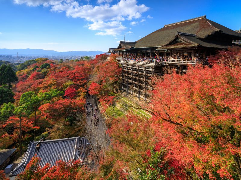 Kiyomizudera Temple_Autumn_shutterstock_535564636