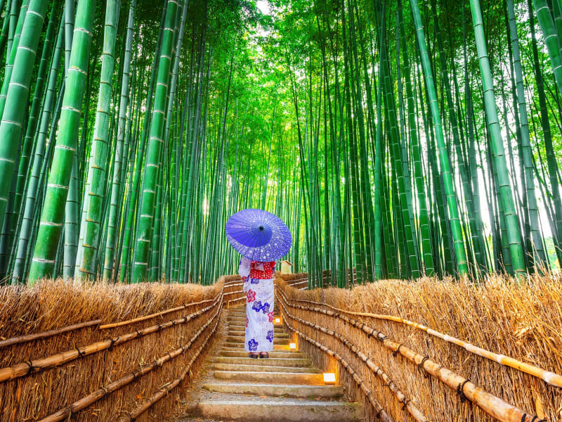 Arashiyama_Bamboo Forest_shutterstock_1174876909