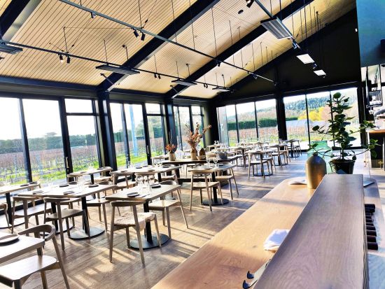 マーティンボロワイナリー　3軒のワイナリーを巡り世界に誇るワインを堪能＜試飲付／英語ガイド／ウェリントン発＞