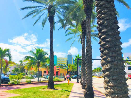 マイアミ市内観光　半日で名所を巡るハイライト観光ツアー ＜日本語ドライバーガイド＞