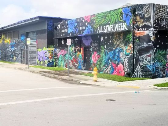 マイアミ市内 半日ツアー　リトル・ハバナ＆ウィンウッド・アート地区＆ココナッツ・グローブなど ＜英語ドライバーガイド＞