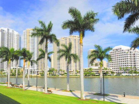 マイアミ市内 半日ツアー　リトル・ハバナ＆ウィンウッド・アート地区＆ココナッツ・グローブなど ＜英語ドライバーガイド＞