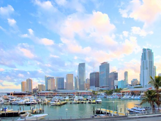 マイアミ市内 半日ツアー　リトル・ハバナ＆ウィンウッド・アート地区＆ココナッツ・グローブなど ＜英語ドライバーガイド＞