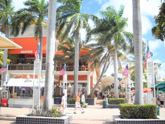 マイアミ市内観光　海辺の宮殿ビスカヤ・ミュージアム入場付き！半日で名所を巡るハイライト観光ツアー ＜日本語ドライバーガイド＞