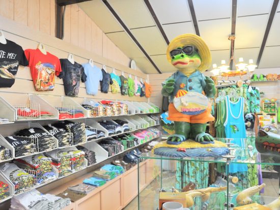 エバーグレーズ湿地帯 半日ツアー　エアボート乗船＆サファリパーク観光