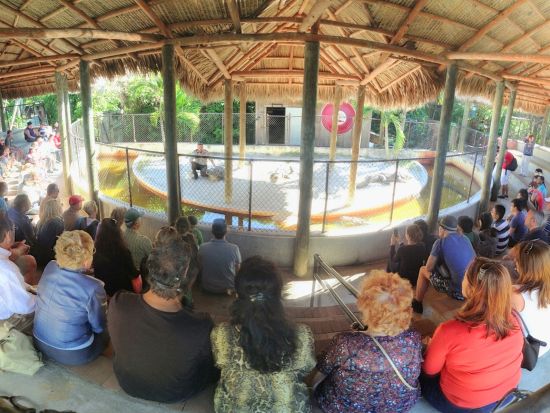 世界遺産 エバーグレーズ国立公園　エアボート乗船＆サファリパーク観光＆ビスケーン湾クルーズツアー ＜1日／英語ガイド＞