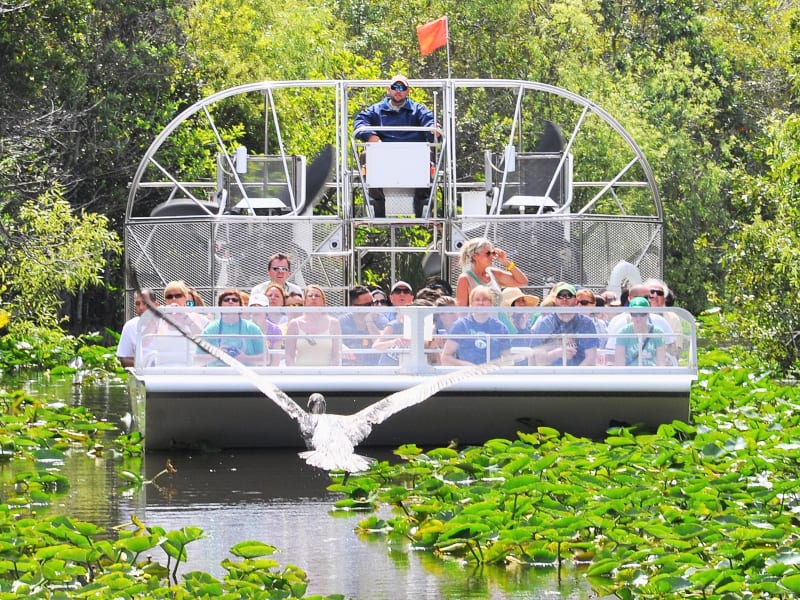 airboat-ride-bird (1)