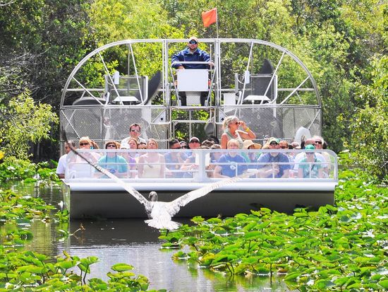 airboat-ride-bird (1)