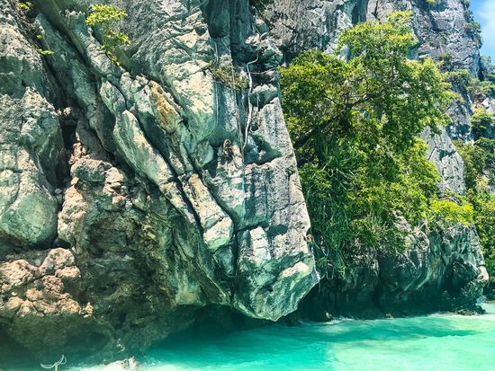 モンキーロックス