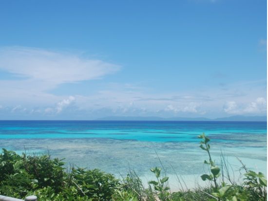 波照間フェリー往復乗船券 日本最南端の島で美しい海と星空を満喫＜復路オープンチケット／石垣発＞