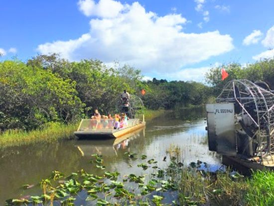 世界遺産 エバーグレーズ国立公園　エアボート乗船＆アリデーターショー鑑賞＆トラムツアー＆展望台立ち寄り ＜1日／11～4月／日本語ドライバーガイド＞
