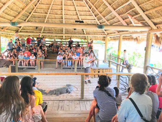 世界遺産 エバーグレーズ国立公園　エアボート乗船＆アリゲーターショー鑑賞＆ドルフィンモールでショッピング ＜半日／日本語ドライバーガイド＞