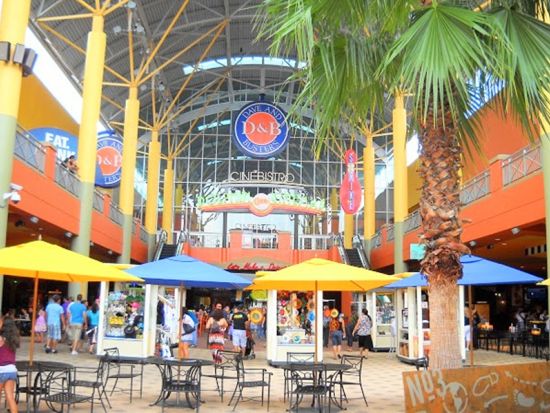 世界遺産 エバーグレーズ国立公園　エアボート乗船＆アリゲーターショー鑑賞＆ドルフィンモールでショッピング ＜半日／日本語ドライバーガイド＞