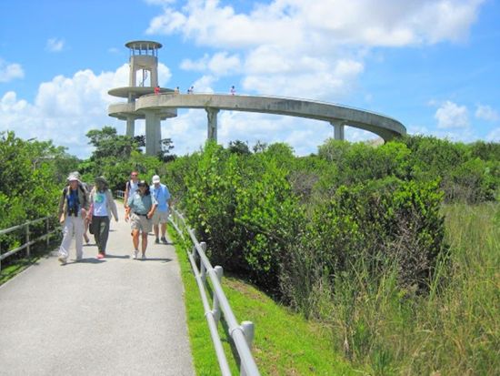 世界遺産 エバーグレーズ国立公園　エアボート乗船＆アリデーターショー鑑賞＆トラムツアー＆展望台立ち寄り ＜1日／11～4月／日本語ドライバーガイド＞