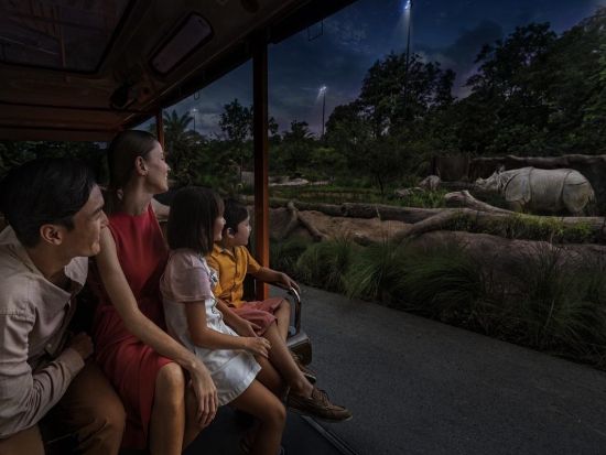 バードパラダイス＋ナイトサファリツアー　マルチランゲージ（日本語音声）トラム確約＆アニマルショー鑑賞　ビュッフェディナー付き ＜日本語ガイド／往復送迎＞