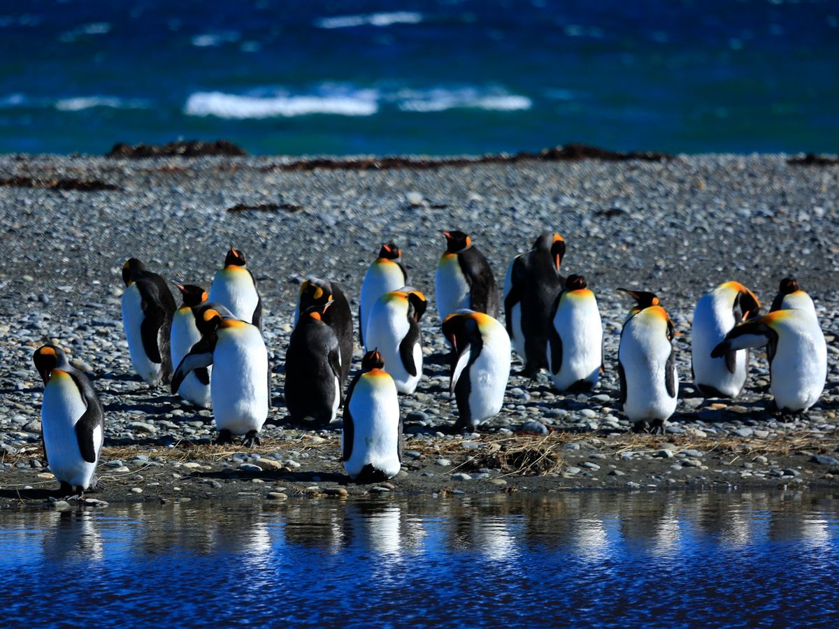 20240730082237_1687866752_1088