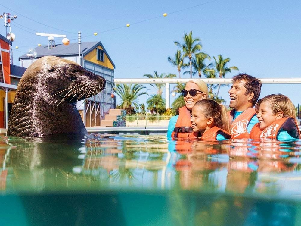 シーワールド チケット予約 海洋生物の美しい世界と海をテーマにした