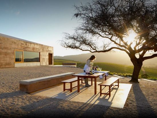 casa-del-bosque-vineyard-621401