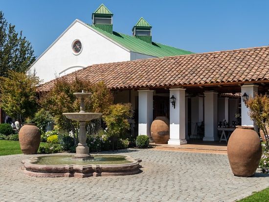 Vina_Casas_del_Bosque_(49674240431)