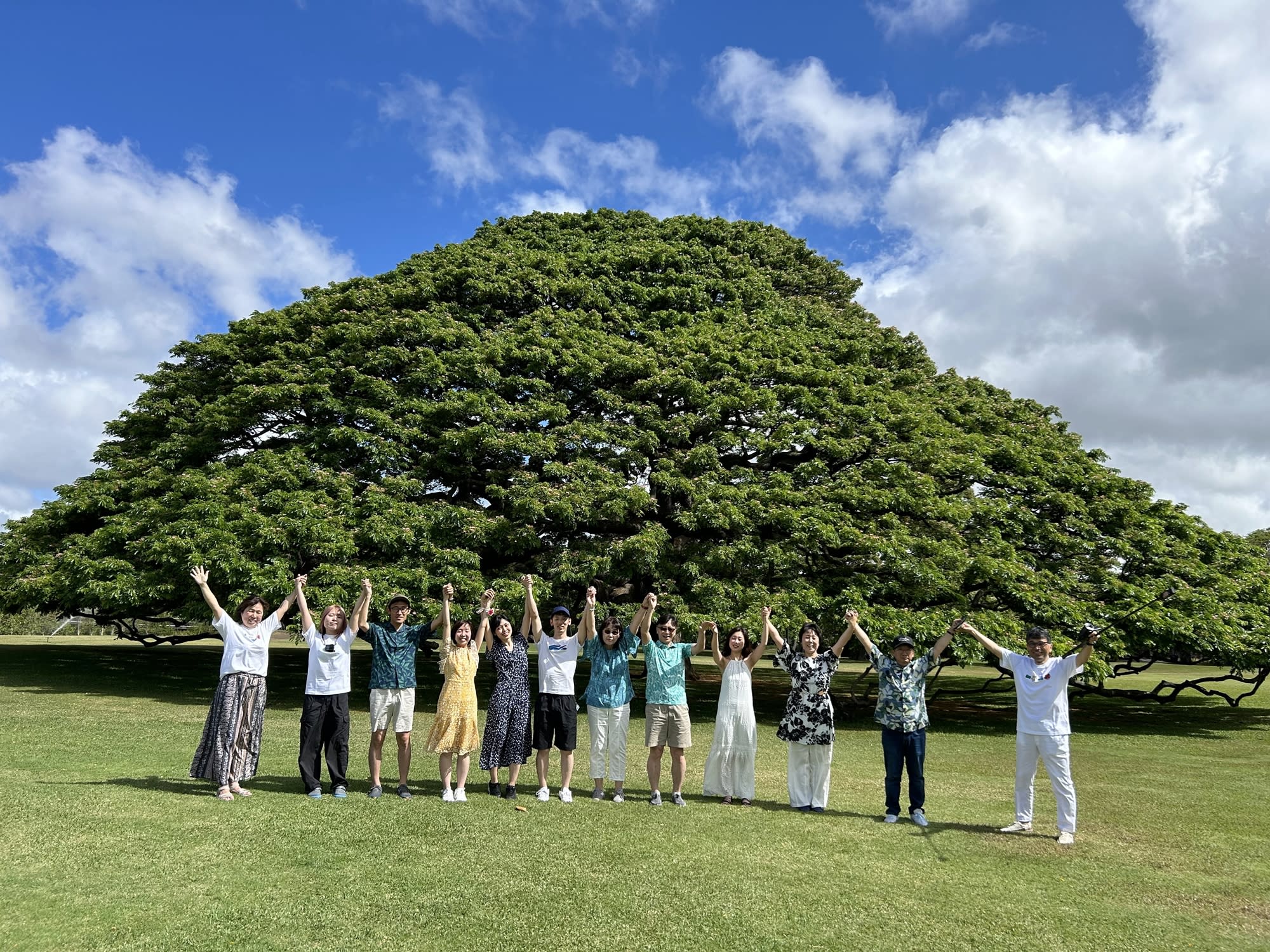 ハワイ チャーター サービス一覧 | オアフ島(ホノルル) 旅行の観光・オプショナルツアー予約 VELTRA（ベルトラ）