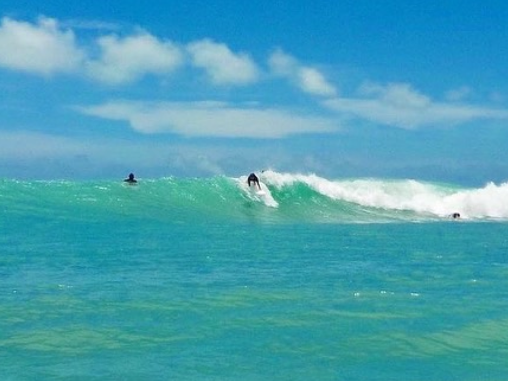 20240731065330_1516290929_1717