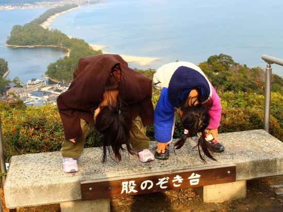 大阪発 日帰りバスツアー 天橋立＆伊根の舟屋 絶景と歴史を満喫！＜大阪発着／日本語・中国語or英語＞