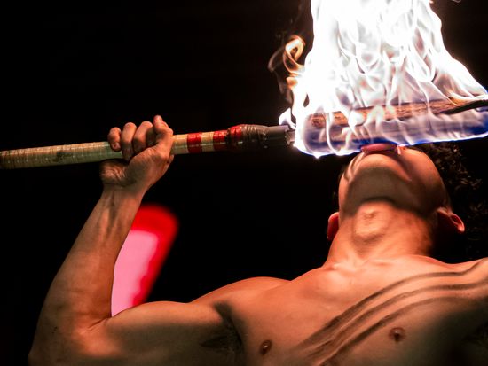 Hawai_2023-02-04_1456_1