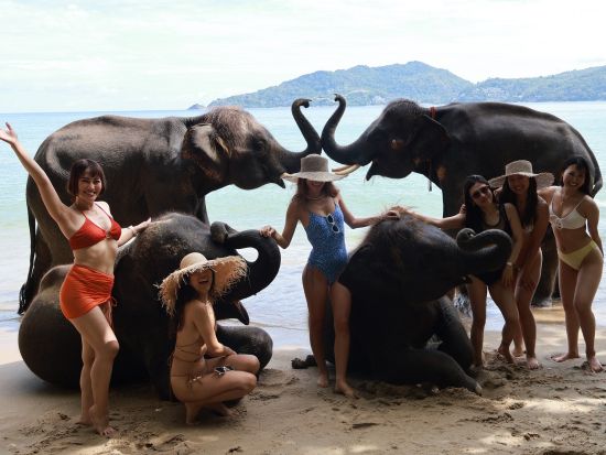 プーケット島南部フォトジェニックツアー　ゾウビーチやカラフルなオールドタウンなどプーケット南部の魅力を満喫！ ＜貸切／フローティングランチ／日本語ガイド＞