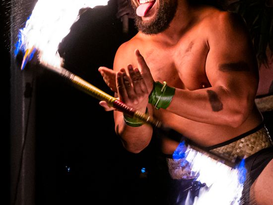 Hawai_2023-02-04_1953_1