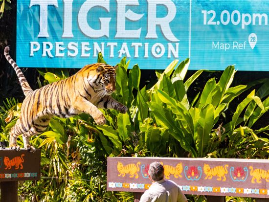 20230530033049_403776241_15971_0