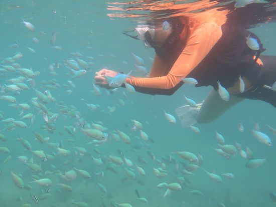 完全貸切SUP体験 幸せプライベートツアー！初心者大歓迎◎シュノーケリング付プランあり＜写真プレゼント／南部 奥武島＞