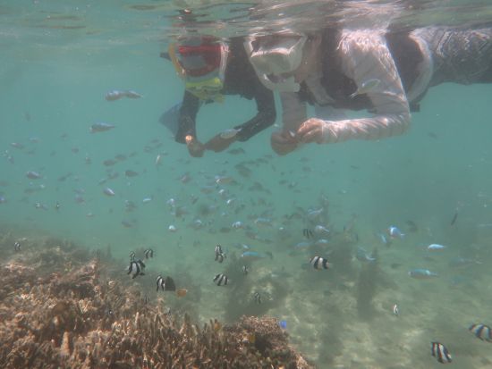 完全貸切SUP体験 幸せプライベートツアー！初心者大歓迎◎シュノーケリング付プランあり＜写真プレゼント／南部 奥武島＞