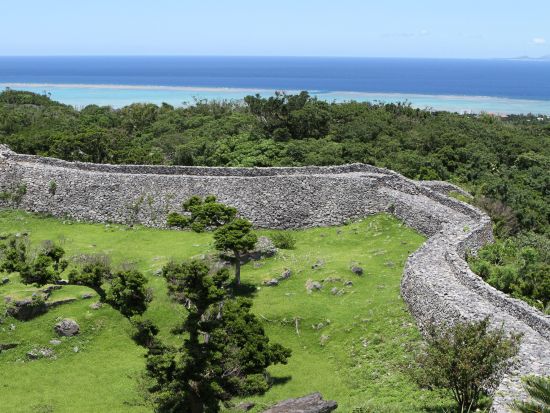 海洋博公園（沖縄美ら海水族館）と今帰仁城跡を巡るバスガイドと行く♪バスツアー 絶景と世界遺産 世界最大級の水槽を誇る水族館で沖縄旅を満喫＜1日／昼食込／那覇発＞