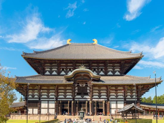 大阪発 日帰りバスツアー 京都・奈良名所巡り 清水寺＋伏見稲荷大社＋奈良公園へご案内＜大阪発着／日本語・中国語or英語＞