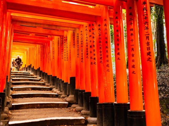 大阪発 日帰りバスツアー 京都・奈良名所巡り 清水寺＋伏見稲荷大社＋奈良公園へご案内＜大阪発着／日本語・中国語or英語＞