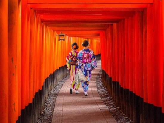 京都・奈良日帰りツアー 清水寺＋伏見稲荷大社＋奈良公園へご案内＜京都駅発・大阪着／日本語・中国語or英語＞