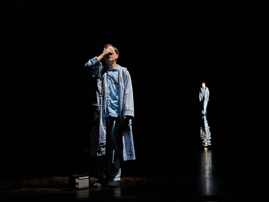 舞台『ストレンジャー・シングス ザ・ファースト・シャドウ』 チケット予約 ＜ロンドン＞