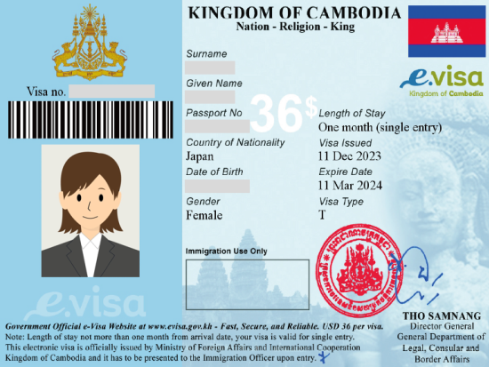 【観光ビザ申請代行】カンボジア観光ビザ（e-Visa）取得代行サービス　面倒な手続きはお任せ！スムーズな入国をサポート＜日本語＞