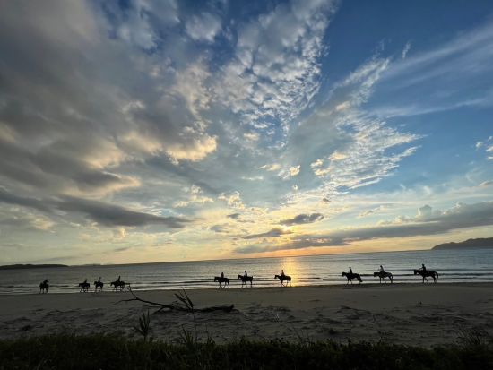 ビーチ乗馬体験　乗馬初心者の方でも安心！＜JR東郷駅への送迎あり／宗像市＞ by カナディアンキャンプ乗馬クラブ