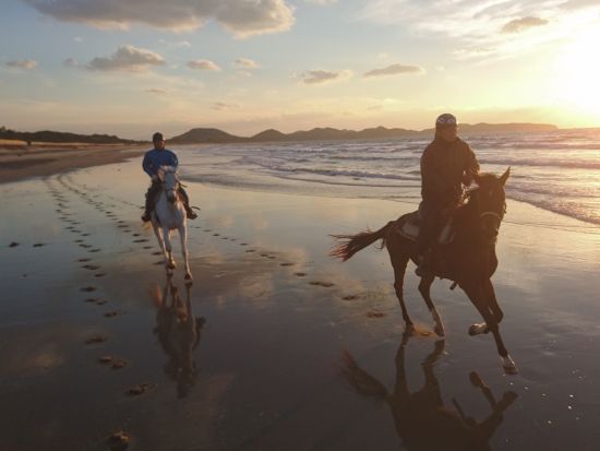 ビーチ乗馬体験　乗馬初心者の方でも安心！＜JR東郷駅への送迎あり／宗像市＞ by カナディアンキャンプ乗馬クラブ