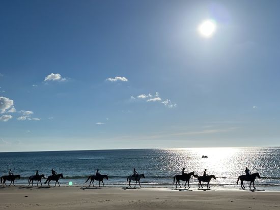 ビーチ乗馬体験　乗馬初心者の方でも安心！＜JR東郷駅への送迎あり／宗像市＞ by カナディアンキャンプ乗馬クラブ