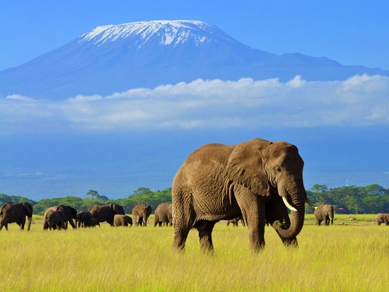 Africa_Kenya_Amboseli_shutterstock_1110105137
