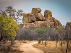 AdobeStock_401864992