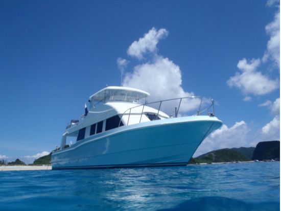 慶良間ファンダイビング 透明度抜群のケラマで色々な生物に会いに行こう！ 器材レンタル無料＜1日／2～3DIVE／那覇市内送迎無料／那覇発＞