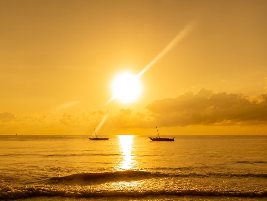 AdobeStock_307117008