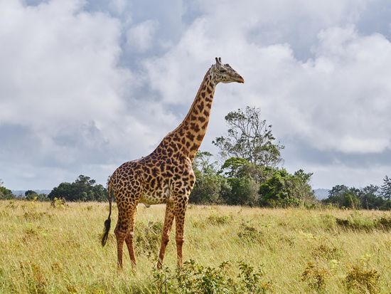 AdobeStock_193602646
