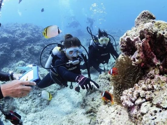 11000003849012_UEc8ymML_4