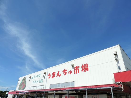 pixta_74934646_M (1)