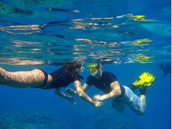 慶良間体験ダイビング＋シュノーケリングコース 沖縄の絶景海中世界を満喫 写真プレゼントあり＜1日／1～2DIVE／那覇市内送迎無料／那覇発＞